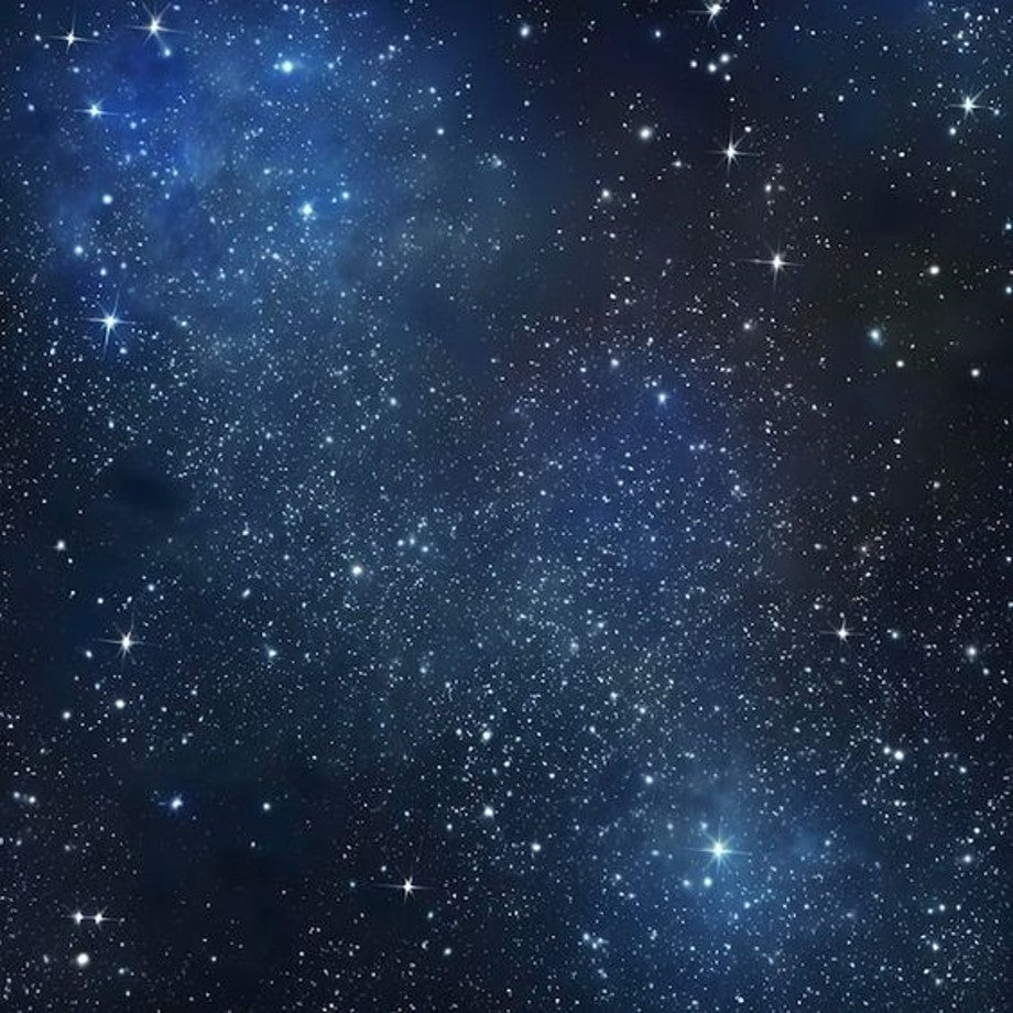 有田焼 聡窯 星屑シリーズ リム皿(小・紫)