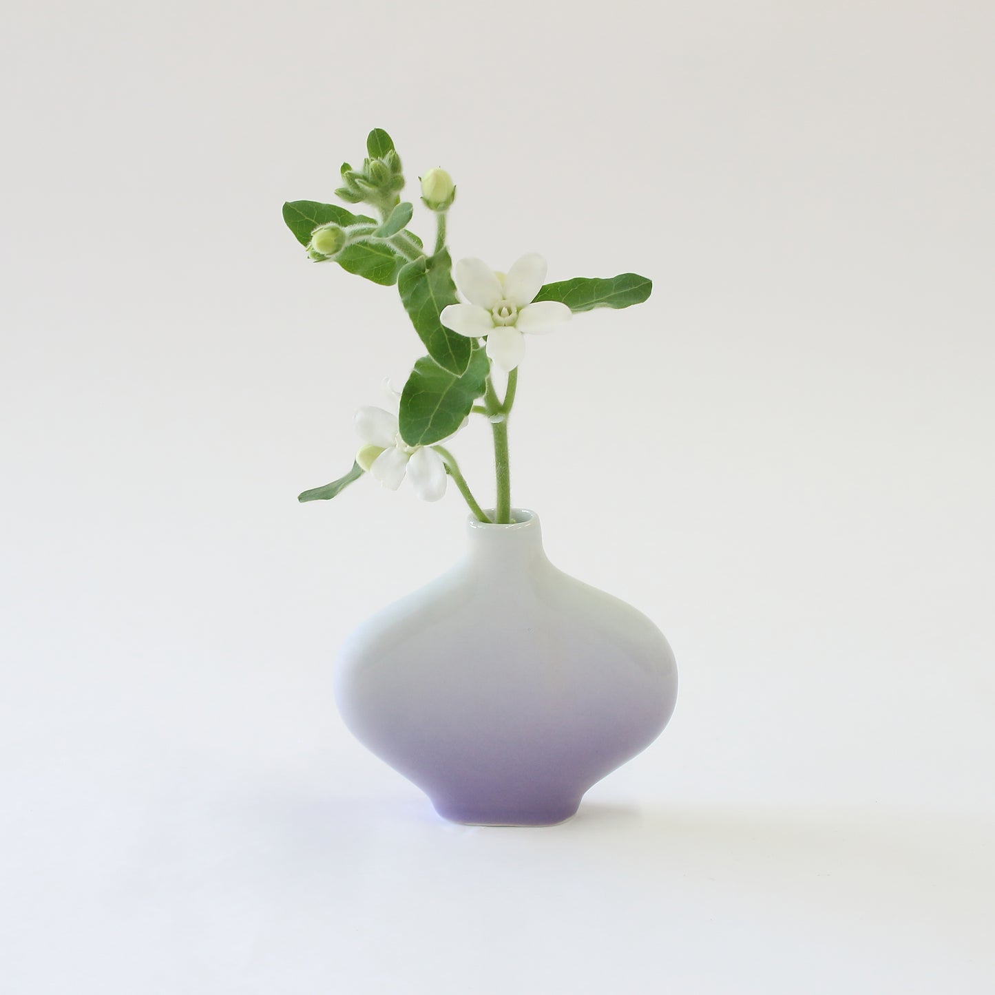 Arita ware | Takuma Tsuji | Single flower vase , Henko PURPLE [one-of-a-kind item]
