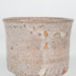 Karatsu ware | Naoki Kojima | Karatsu sake cup [one of a kind] #Wtr-01