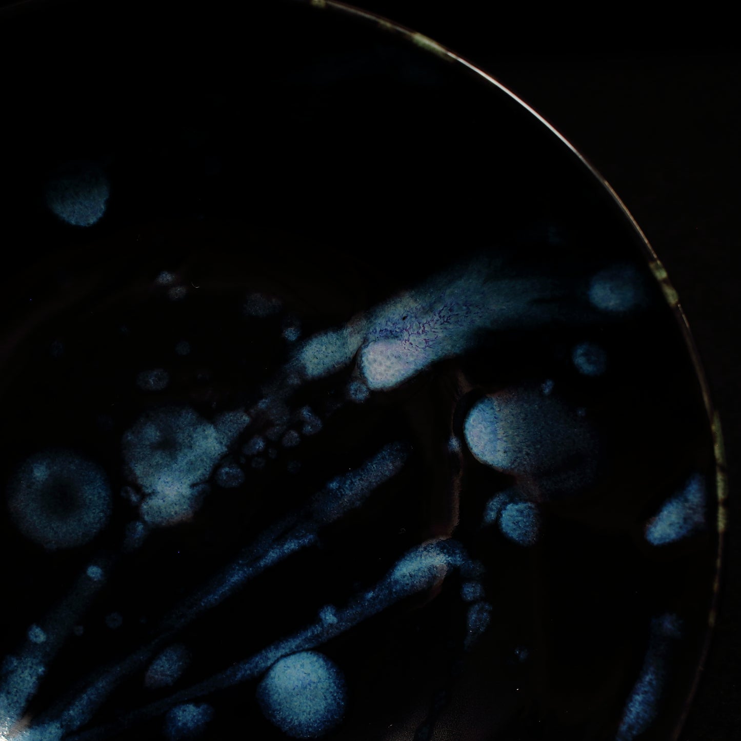ceramic,droplet,yukiinoue,井上祐希,有田焼,皿,磁器,aritaware,ケーキ皿,plate,bowl,銘々皿
